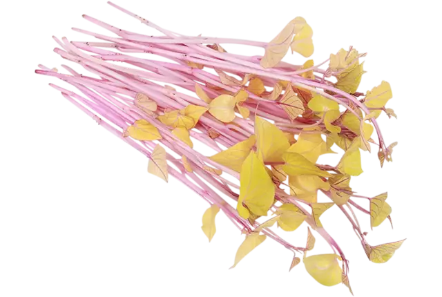 Sweet Peeper Cress kist 2 stuks
